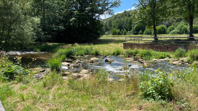 Das Bayerische Staatsbad Bad Brückenau ist fußläufig erreichbar und lädt zum verweilen ein.Zahlreiche Restaurants sind vorhanden.